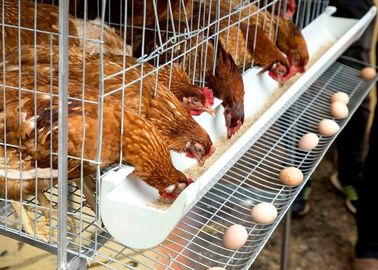 กรงแบตเตอรี่ไก่ไข่ไข่ฟาร์มไก่ไข่ระบบกรงไก่ชั้น
