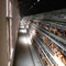 กรงไก่ชั้นอัตโนมัติสำหรับสัตว์พาณิชย์สำหรับอุปกรณ์ฟาร์มสัตว์ปีก