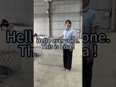 ผู้ผลิตก๊าบิออนในจีน