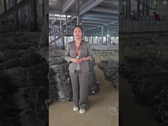 โชว์งานเชิงปฏิบัติการเครือสายไร้สาย