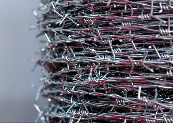14gauge Double Strand Reverse Twist สายสับสับสับสับสับสับสับ