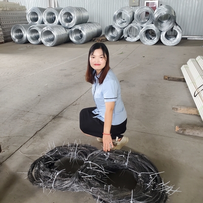 กองลักขังขังขังขังขังขังขัง