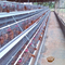 Farming A Type Mini Poultry Cages ไก่ชั้น 4 Tier 160 Birds