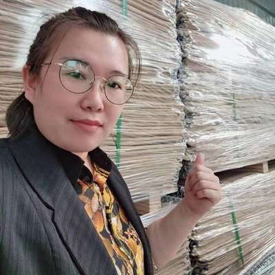 ความแข็งแรงสูง มิล 1 ถึง มิล 12 ป้องกันขัดขวาง สายเหล็กเหล็ก Mesh ป้องกันทหาร ป้องกันกําแพงปราสาท สําหรับการยิง
