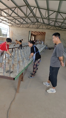 ขาย ถัง ป้องกัน เครือข่ายลวดลวด เครือข่ายป้องกันเส้นทาง เครือข่ายสายไฟฟ้าสายไฟฟ้าสายไฟฟ้าสายไฟฟ้า