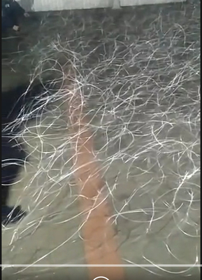 เคล็ดลับ ลับรั้ว ความปลอดภัย ขอบเขต Mesh ถังร่องรอย Wound Net รัสเซีย ถังลัก Putankan