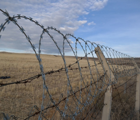 สายด้ายขี้ขน สายแกลวานิสต์ Razor Wire Anti Climb Bird ป้องกันใบมีด สายขี้ขน Barber