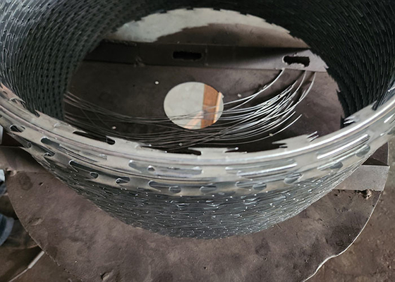 สแตนเลสเหล็กแกลนไซด์สับสอง PVC ผิวเคลือบ Razor Fencing Wire Wall Spike ส่งโดยตรง