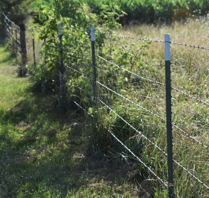 Wholesale High Tensile Twist Galvanized Barbed Wire 14gauge with 3 or 4inch barb distance สายด้ายขัดขวางขนาดสูง