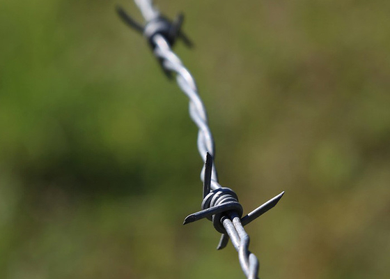 การใช้ของผนังคุก Anti Climb Single Strand PVC โครงการเคลือบเหล็กเชือกขัด