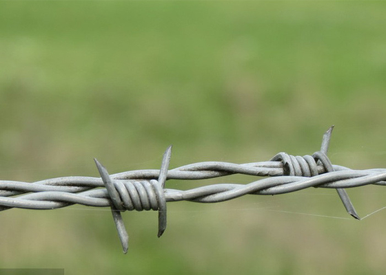 การใช้กําแพงคุก Anti Climb Double Strand Reverse Twist Barbed Wire การใช้กําแพงคุก