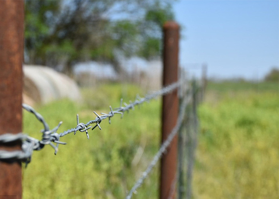 การใช้กําแพงคุก Anti Climb Double Strand Reverse Twist Barbed Wire การใช้กําแพงคุก