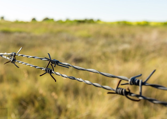 การใช้กําแพงคุก 12.5 Gauge Double Twisted Galvanized Barbed Wire