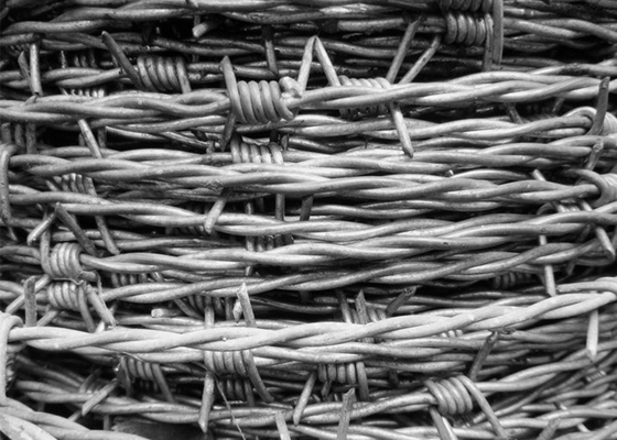 สวนป้องกันการขโมย 12.5 Gauge Double Twisted สายสับคอ