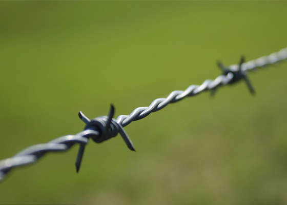 การป้องกันเกษตรกรรม Anti Climb Double Strand Reverse Twist Barbed Wire สายด้ายมีสัญลักษณ์