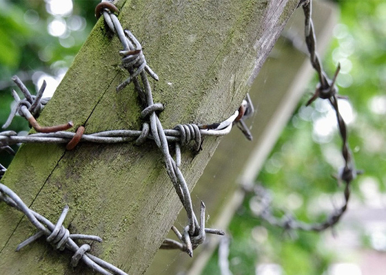 1.8 มิลลิเมตร Double Strand Reverse Twist Electro Steel สายสับสับ
