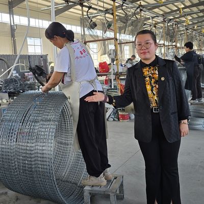 Egoza Concertina Wire Fencing Razor barbed Sharp Protection for Critical Sites