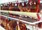 Type Automatic System 128 กรงไก่สัตว์ปีก Egg Layer Farm Equipment