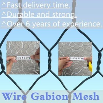 100mm X 120mm สาย Mesh กล่อง Gabion ขนาดสะดวกสบาย 2m X 1m X 1m สําหรับการยึดดิน