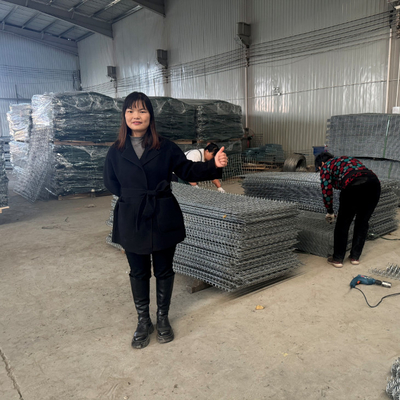 มิล 10 ทนทาน welded Gabion ป้องกันอุโมงค์กั้นด้วยการรับรอง CE Geotextile