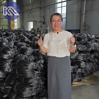 ปัญหาที่แทบจะมองเห็นได้ MZP ปัญหาสายไฟฟ้าที่มองเห็นได้น้อย ปัญหาต่อต้านถัง ป้องกัน
