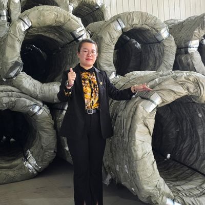 Egoza Concertina Wire Fencing Fencing Bade