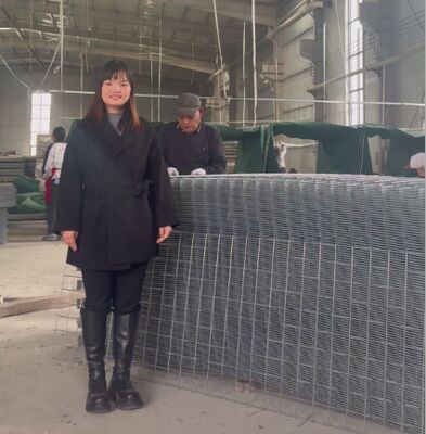 SX10 ทราย Filled HESCO ปรางป้องกันด้วย Geotextile ปราง Gabion ทหาร HESCO ปรางราคา