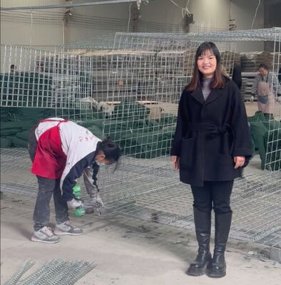 มิล 1 กองทัพ ป้องกันอุปกรณ์ป้องกันกําแพง ป้องกันผนัง